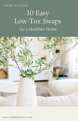 10 Easy Low-Tox Swaps Quick Start Guide cover