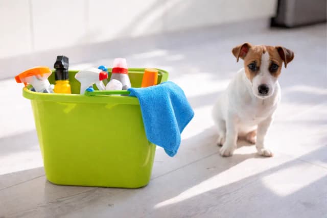 Pet-safe cleaning products including fragrance-free dishwashing liquid, enzyme cleaners, and natural cleaning supplies arranged on a counter