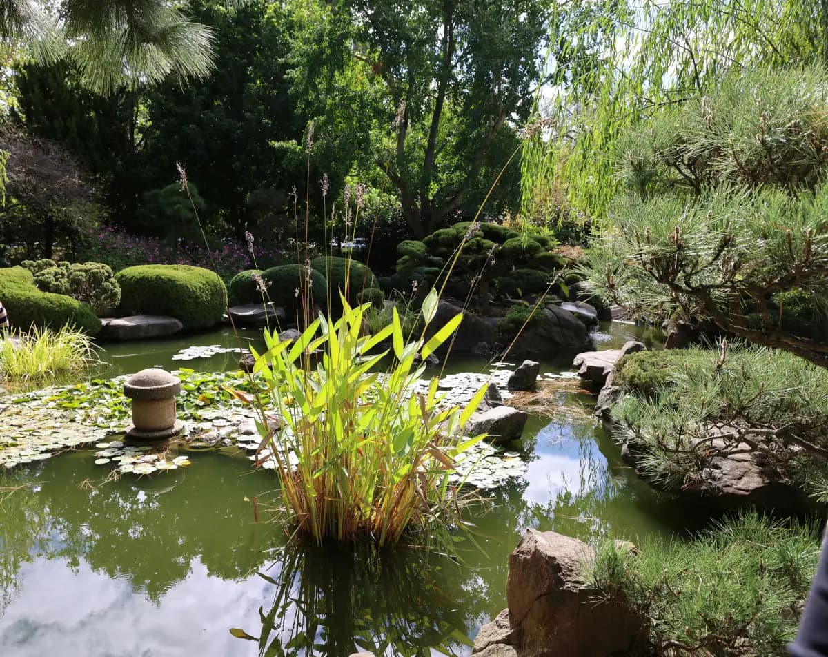 Finding peace in nature